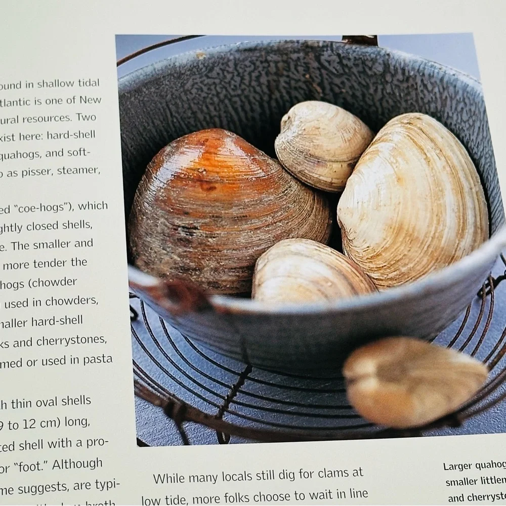 Williams Sonoma New American Cookbook Hardcover Recipe Book